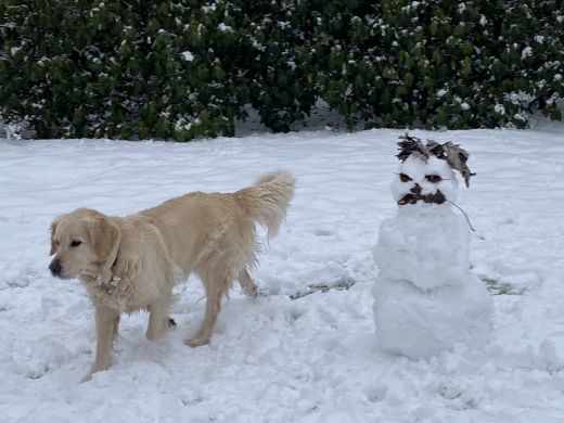 Didi and Snowman